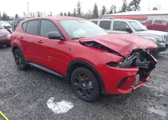 ZACPDFCW1R3A17748: 43894790