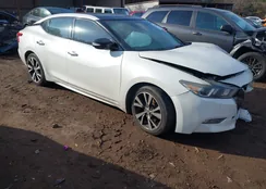 1N4AA6AP0GC903019: 43896019