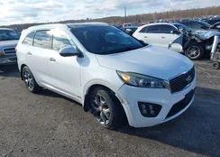 5XYPKDA16GG032351: 43897395