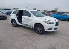 5N1DL0MN7KC534589: 43896612