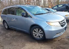 5FNRL5H63EB036102: 43897782