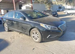 5NPE24AF5GH358153: 43899291