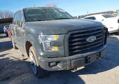 1FTEW1EF7HKD08032: 43899366