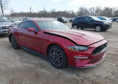 1FA6P8CF1K5193825: 43899472