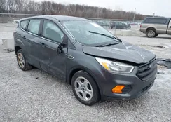 1FMCU0F74HUB57097: 43901368