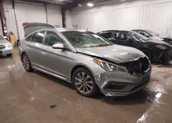 5NPE34AF8GH435806: 43901976