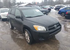 JTMBF33V195007703: 43901546