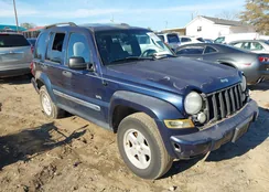 1J4GK48K46W268328: 43901613