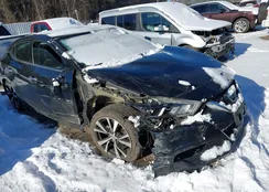 1N4AA6AP7JC397745: 43901631