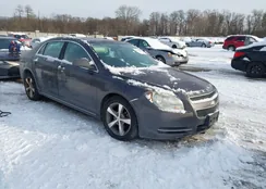 1G1ZC5E11BF178862: 43903283