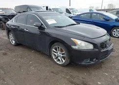 1N4AA5AP1AC873126: 44503871