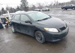 2T1BU4EE0AC259068: 44504000