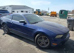 1ZVBP8AM9C5282728: 44504142