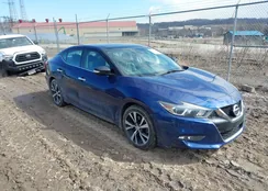 1N4AA6AP8JC365726: 44503265