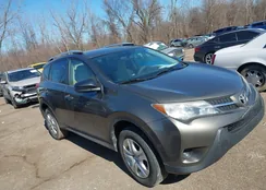 JTMBFREV7D5007746: 44503335