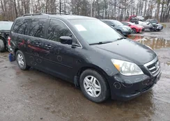 5FNRL38785B095529: 44503628