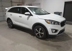 5XYPHDA5XGG098130: 44504769