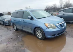 5FNRL3H48AB046301: 44504945