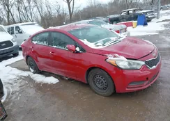 KNAFX4A69G5517761: 44504956