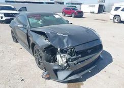 1FA6P8TH0J5112099: 44504399