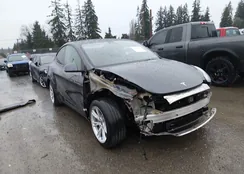 5YJYGAEE0MF176935: 44505368