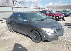 2T1BU4EE1AC350155: 44505431