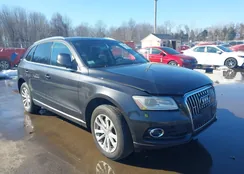 WA1CFAFP4EA012976: 44505502