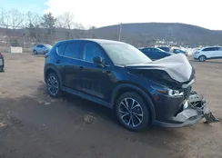 JM3KFBDM1N1543494: 44505544