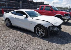 1FA6P8CF2J5185358: 44507026