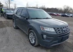 1FM5K7D86GGA49953: 44507144