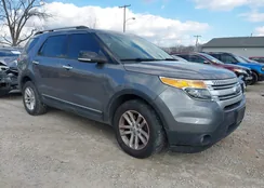 1FM5K8D81DGC22831: 44506321