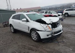 3GYFNEE3XFS566450: 44506408