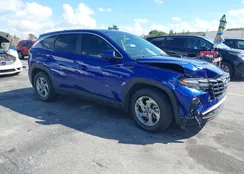 5NMJA3AE9PH184281: 44506464