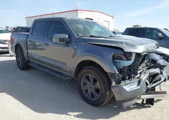 1FTFW1ED2PFA75073: 44507921