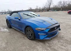 1FATP8UH0J5185555: 44507258