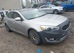 KNALN4D7XF5170940: 44508821