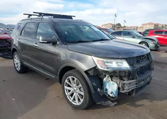 1FM5K8F84GGA37822: 44509111