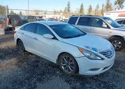 5NPEC4AC0BH295149: 44509135