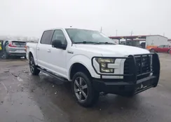 1FTEW1EF4GKD69952: 44509238