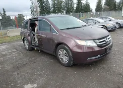 5FNRL5H29EB036859: 44508536