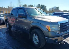 1FTFW1ET6CFB78675: 44508609