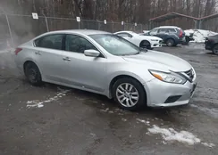 1N4AL3AP7JC290137: 44509697