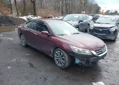 1HGCR2F53EA208636: 44509288