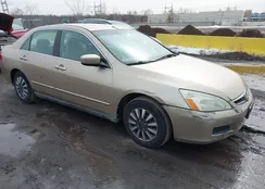 1HGCM56466A039818: 44510831