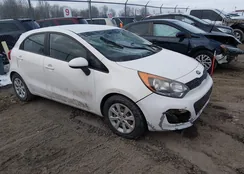 KNADM5A31D6172064: 44510887