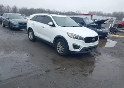 5XYPGDA59HG205124: 44511044