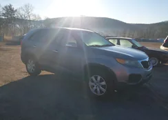 5XYKTCA66CG224201: 44511117