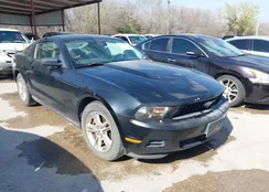 1ZVBP8AM3B5143838: 44511128