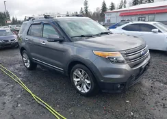 1FM5K8F87EGA53154: 44511958