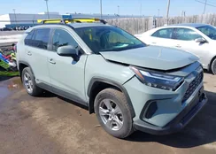 JTMRWRFV4PD193916: 44512051